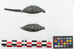 Foto von Bronzekahnfibel (NHMW-PRAE-023812)